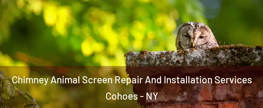 Chimney Animal Screen Repair And Installation Services Cohoes - NY